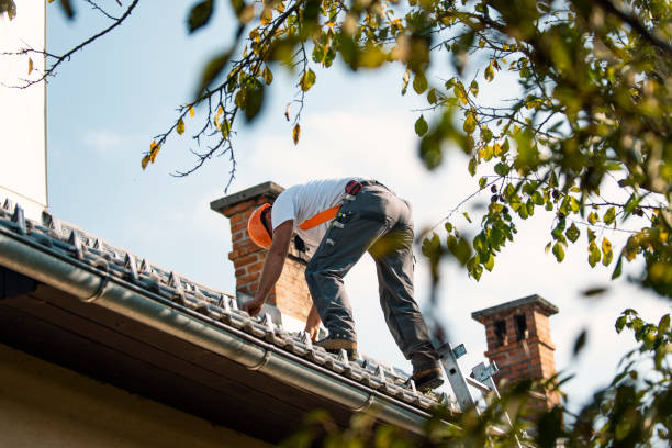 Best Metal Roofing Contractor  in Monrovia, MD