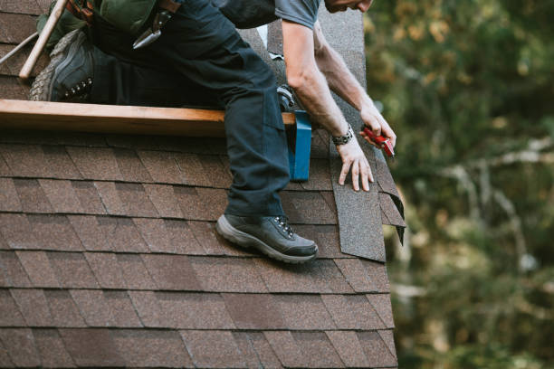Best Roof Gutter Cleaning  in Monrovia, MD